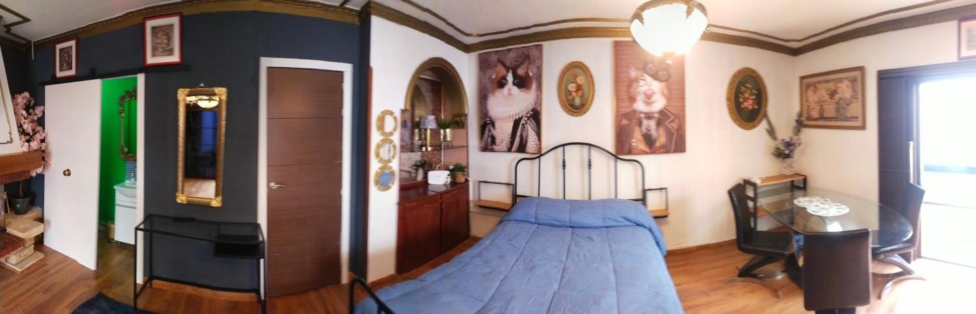 Guajara Loft-Balcon Apartment La Laguna  Phòng bức ảnh